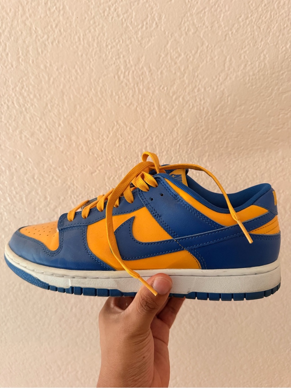 Nike Dunk Low "Michigan"